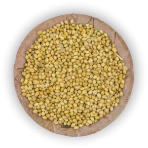 Coriander