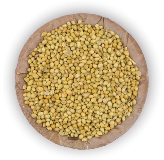 Coriander