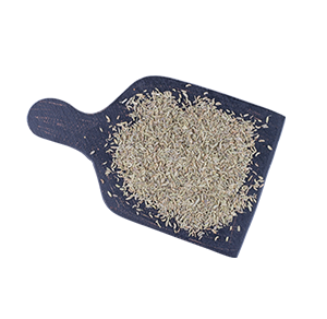 Cumin Seeds