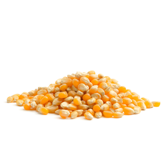 Maize