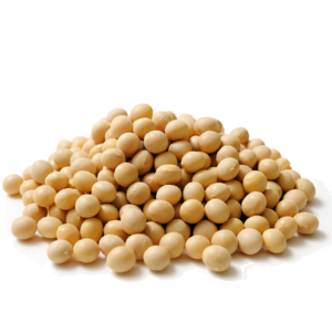 Soyabean