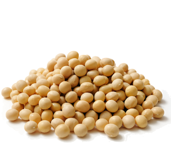 Soyabean